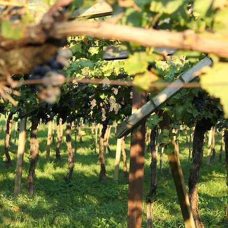 Homesuitehome 3* מראנו