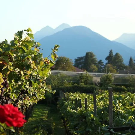 Home Suite Home Bed & Breakfast 3*