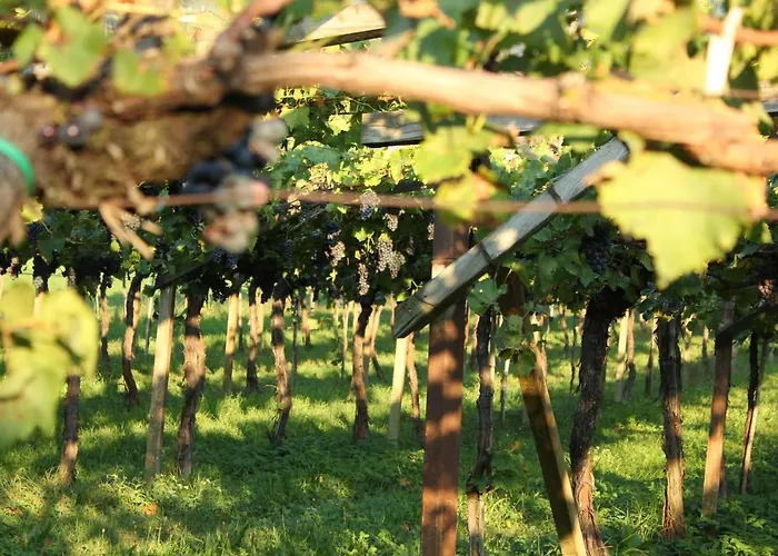 Homesuitehome 3* Meran