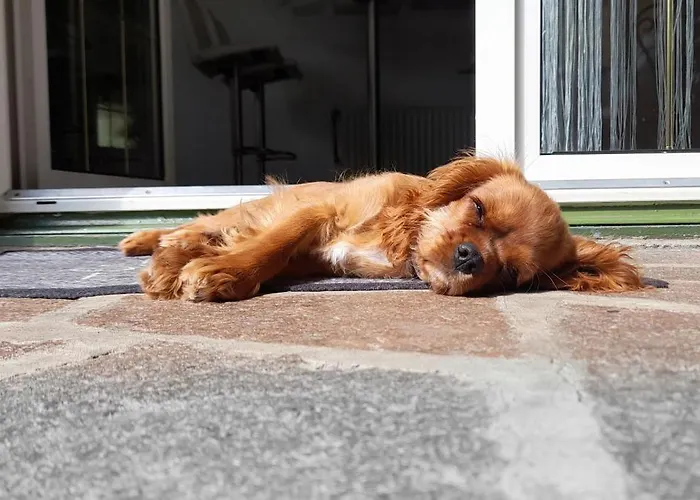 Homesuitehome Nocleg ze śniadaniem